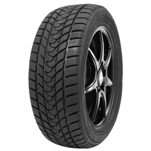 Шина Delinte Winter WD1 245/50R18 100H фото