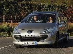 2 Auto Peugeot 307 Universale (1 generacion 2001 2005) foto