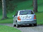 21 Auto Skoda Fabia Hatchback 5-uși (6Y 1999 2005) fotografie