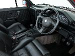 Foto 50 Auto BMW 3 serie Cabriolet (E90/E91/E92/E93 [restyling] 2008 2013)