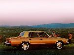 33 Auto Chevrolet Malibu Sedans (1 generation [restyling] 1979 ) foto