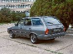მანქანა Dacia 1310 ფურგონი (1 თაობა [აღდგენა] 1983 1993) ფოტო